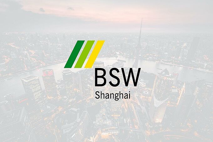 BSW Shanghai Company LTD BSW Shanghai Company LTD