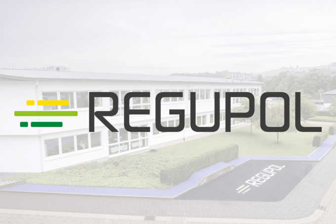 REGUPOL BSW GmbH spun off its entire operations and transferred them to REGUPOL Germany GmbH & Co. KG REGUPOL BSW GmbH spun off its entire operations and transferred them to REGUPOL Germany GmbH & Co. KG