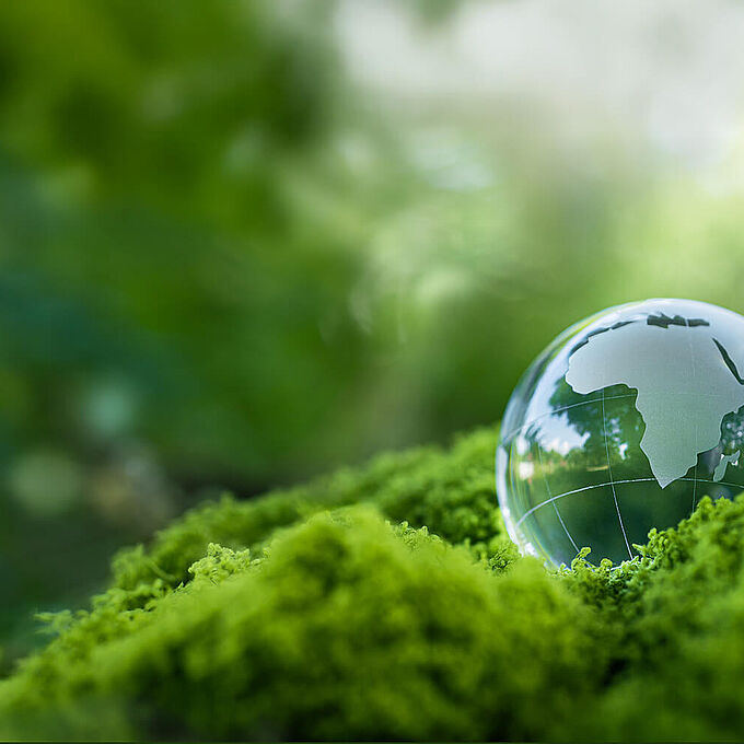 Return Form for Used REGUPOL Products